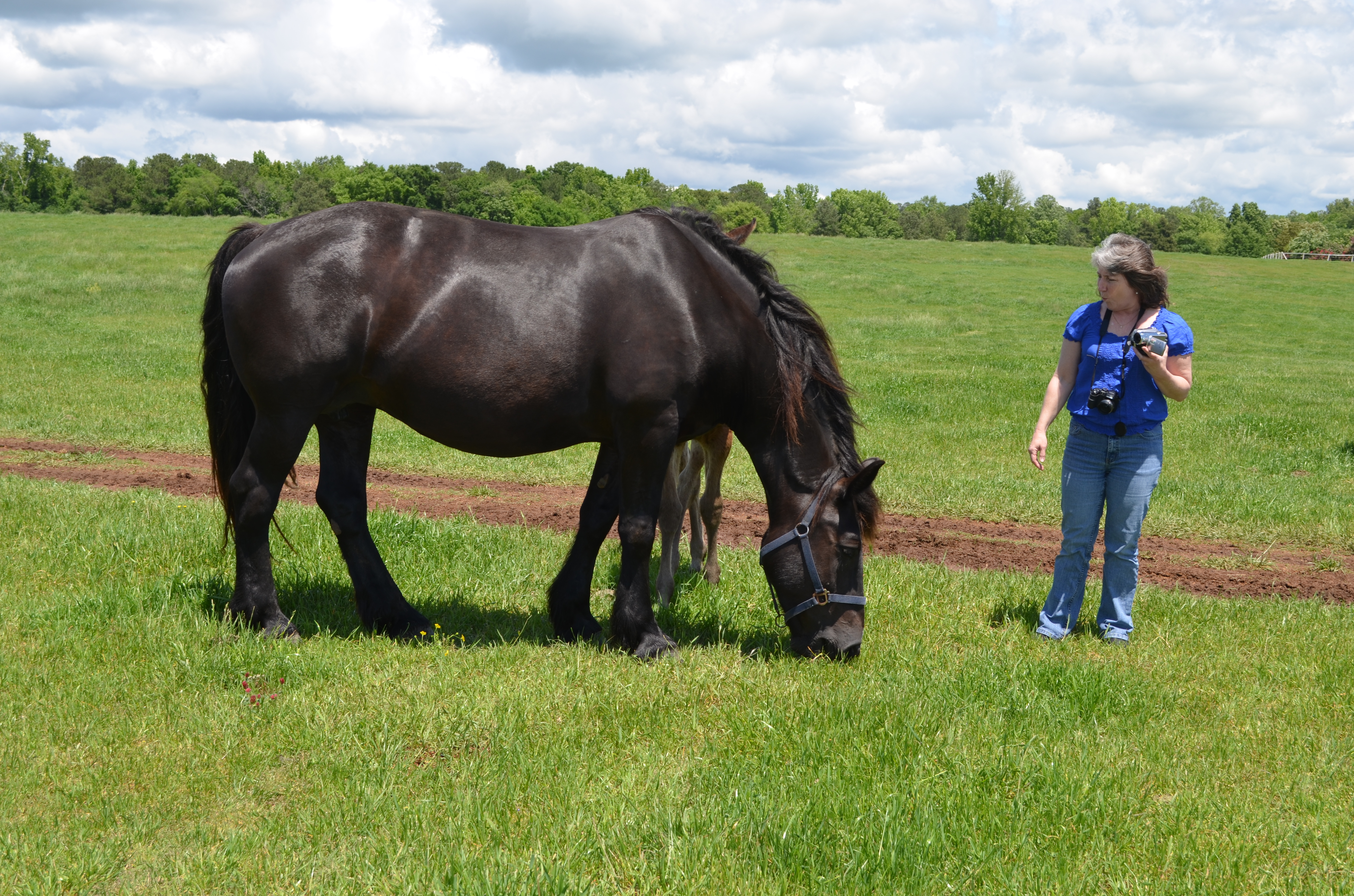 ./2013/Southern Cross Ranch/DSC_2363.JPG